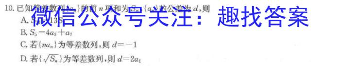 安徽省合肥市2024-2025上学期七年级月考模拟卷（二）&政治