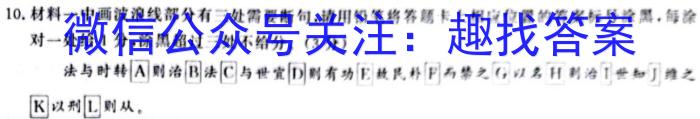 新高中创新联盟TOP二十名校高一年级12月调研考试(241242D)语文