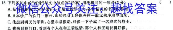 河北省2023-2024学年六校联盟高一年级期中联考（241258D）/语文