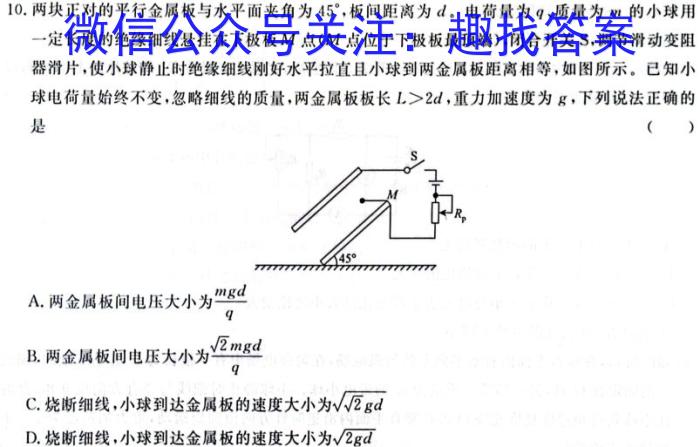 2023年11月稽阳联谊学校高三联考物理试题答案