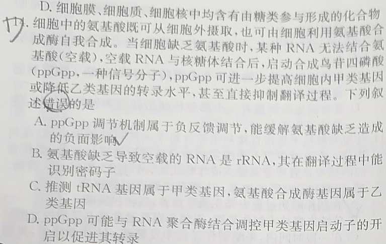 五市十校教研教改共同体2024届高三12月大联考生物学试题答案