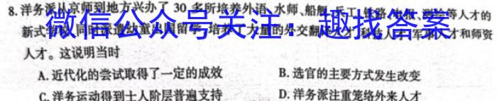 安徽省六安皋城中学2024届初三阶段性目标检测（四）历史