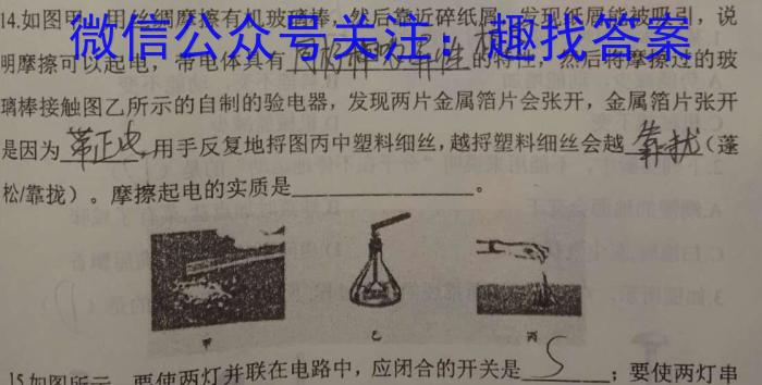 桂柳文化 2024届高考桂柳鸿图模拟金卷(四)l物理