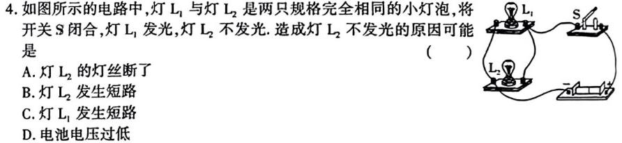 湖北省2024届高三湖北十一校第一次联考物理试题.