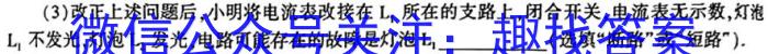 安徽省合肥市2023/2024学年度第一学期九年级学情练习（2）物理试卷答案