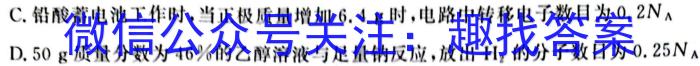 q甘肃省2024届高三12月高三阶段检测化学