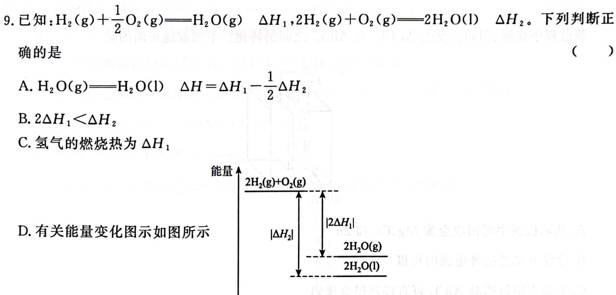 ȼʦĻ 2023~2024ѧ갲˸12ѧxԾ