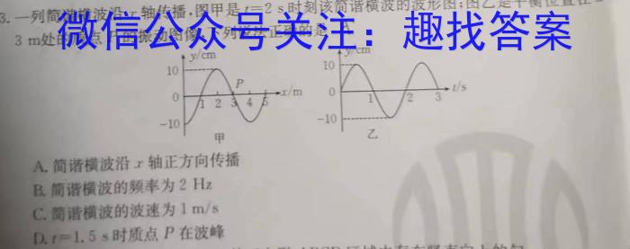 天一大联考 顶尖联盟 2023-2024学年高二秋季期中检测(11月)物理试卷答案