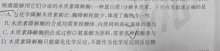 2023年湖北省孝感市高二11月期中考试生物