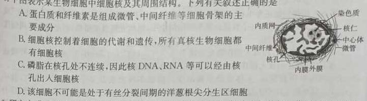 安徽省蚌埠市2023-2024学年第一学期九年级蚌埠G5教研联盟期中考试生物