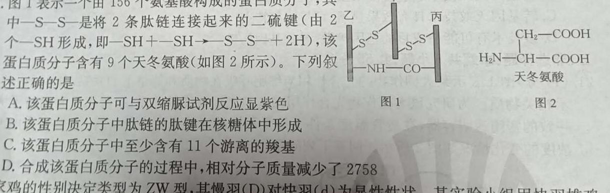 群力考卷 模拟卷2024届高三第一次生物学试题答案