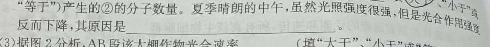 四川省2024届高三试题12月联考(ⓞ)生物学试题答案