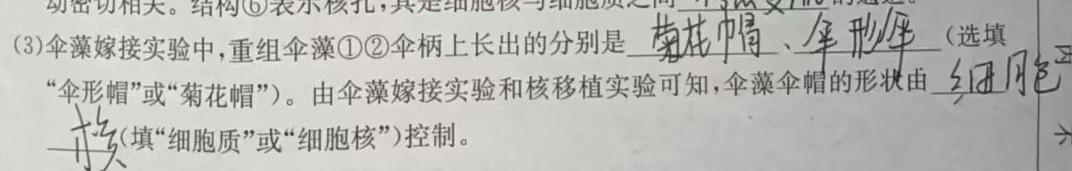 陕西省四校联考2024届高三年级上学期12月联考生物学试题答案