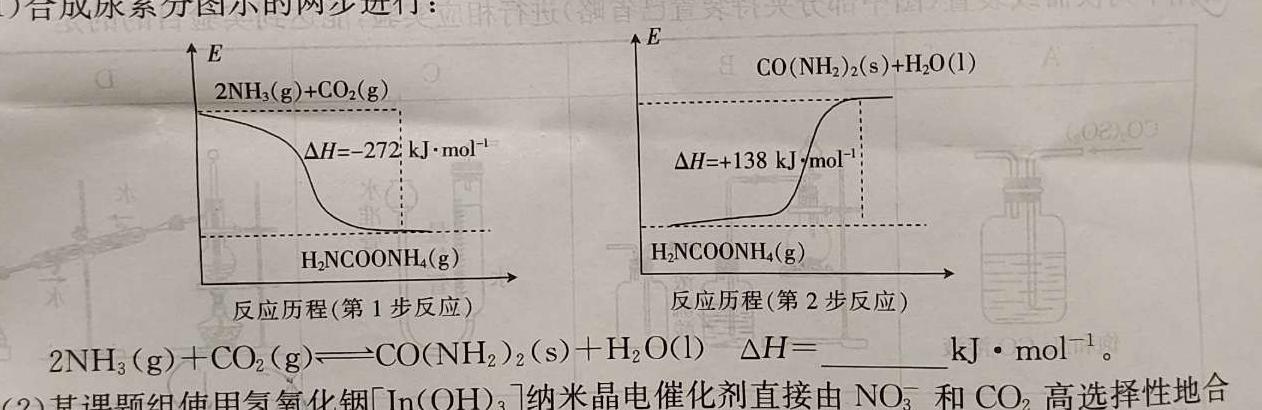 12024届高三百万联考11月联考化学试卷答案