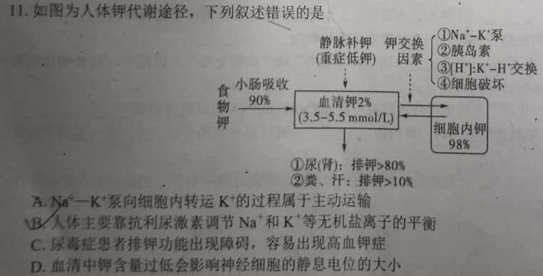 2023-2024学年河北省高一选科调考第二次联考生物学试题答案