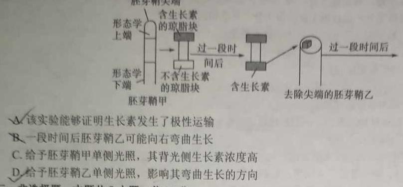 陕西省2023-2024学年度高二年级12月联考生物