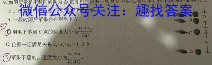 天一大联考 焦作市普通高中2023-2024学年(上)高二年级期中考试物理试题答案