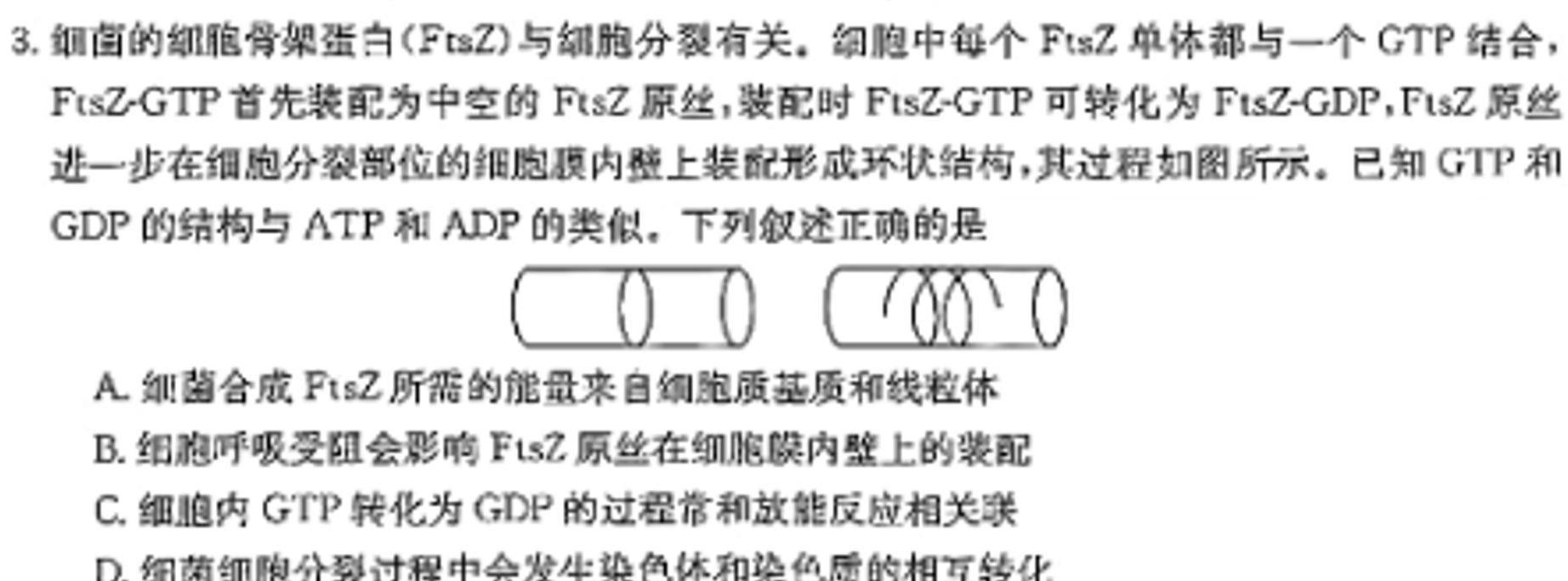 衡水大联考·广东省2023-2024学年高二年级11月联考生物