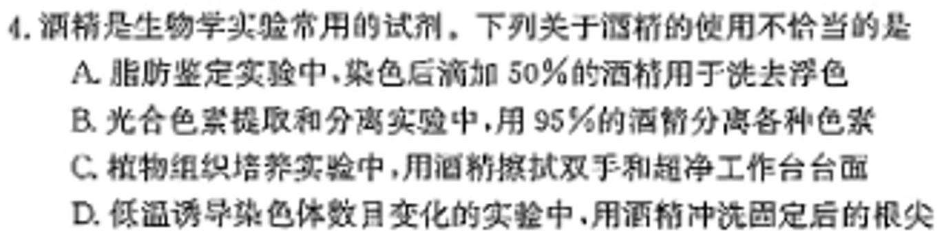 2023年秋季河南省高二第四次联考(24-221B)生物学试题答案