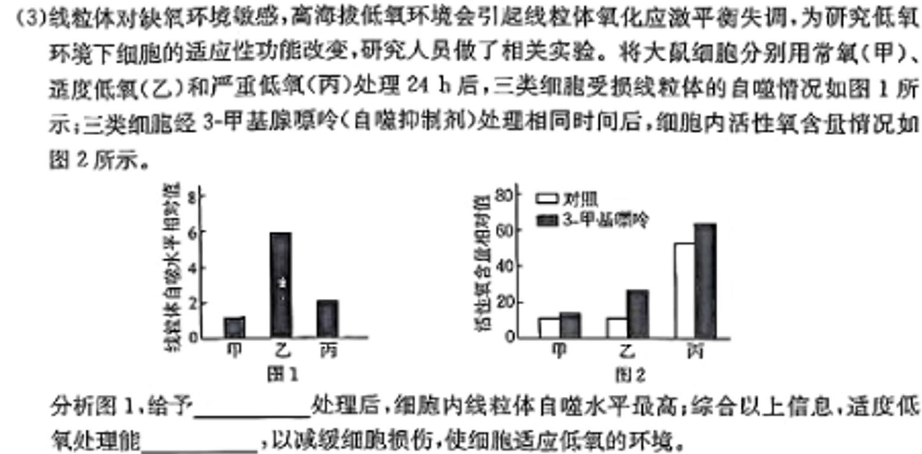 江西省2023-2024学年度高二年级上学期12月联考生物学试题答案