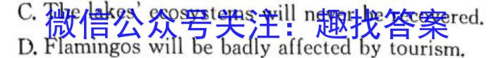百师联盟 2024届高三一轮复习联考(四)英语