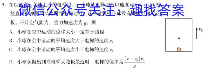 广东省执信、深外、育才2024届高三联考(12月)物理试卷答案