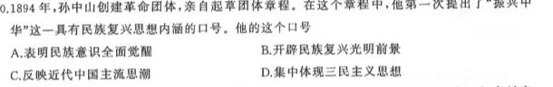 安徽省合肥市某校2023-2024学年九年级阶段检测历史