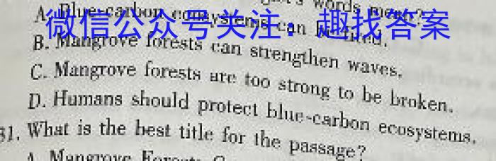 安徽省2023-2024学年度西部地区九年级第三次综合性作业设计英语