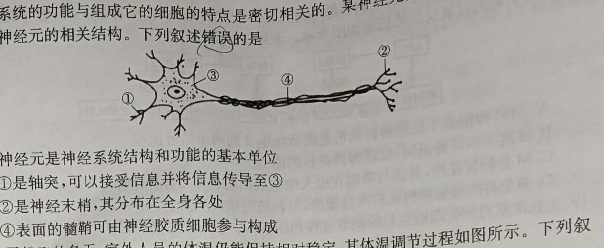 河北省2023年NT20名校联合体高一年级12月考试生物