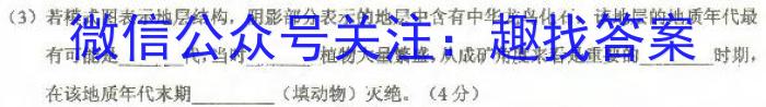 [今日更新]衡水金卷 山东省2024届高三年级2月份大联考(SD)地理h