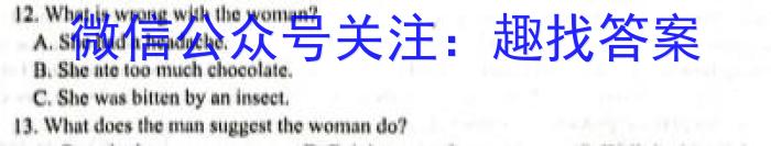 百师联盟 2024届高三仿真模拟考试新教材90/75分钟(四五)英语