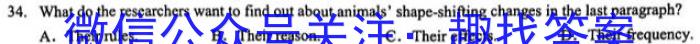 河北省2023年NT20名校联合体高一年级12月考试英语