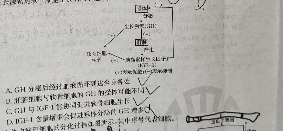 2024届高考模拟卷(一)1生物