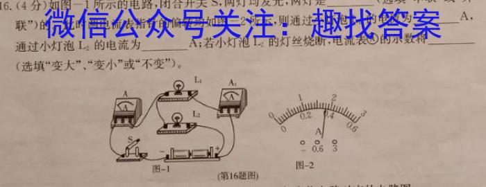 A佳教育·2023年11月高三联考(11月)q物理