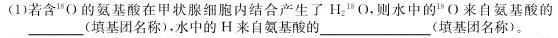 学业测评•分段训练•江西省2025届八年级训练（三）生物学部分