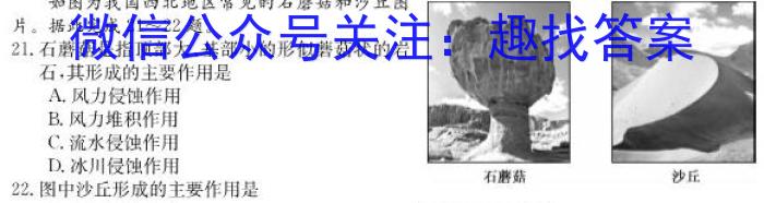 石家庄市2025届普通高中学校毕业年级教学质量摸底检测（11月）地理试卷答案