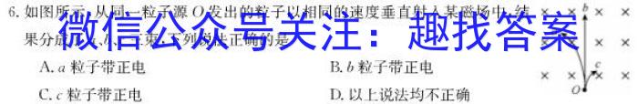 九师联盟 2023~2024学年高三核心模拟卷(中)(二)q物理