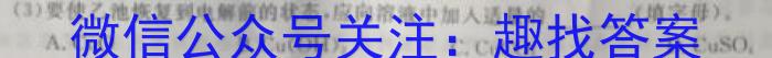 j炎德英才大联考湖南师大附中2024届高三月考试卷(六)化学试卷答案