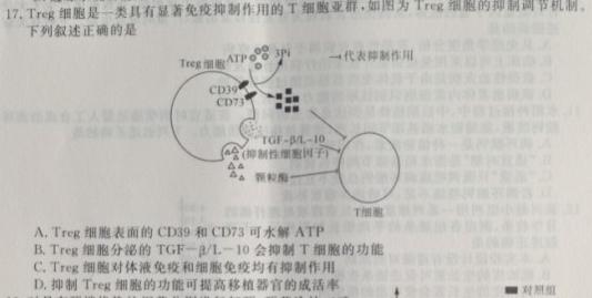 高考快递 2024年普通高等学校招生全国统一考试·信息卷(七)7新高考版生物