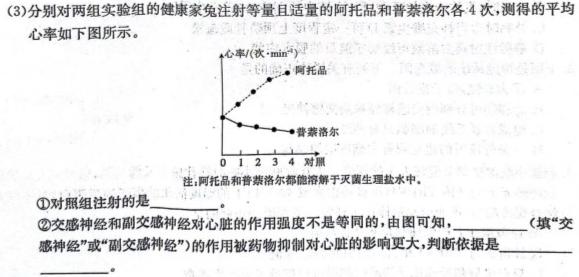 安徽省淮北市2023-2024学年九年级12月月考（无标题）生物