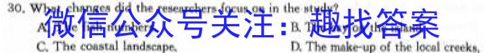 安徽省2023-2024学年度第一学期九年级作业辅导练习(三)英语