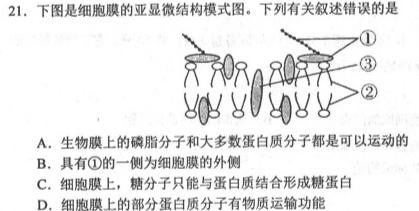 内蒙古2023-2024学年度高一年级上学期11月期中联考生物