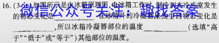 河南省2024届九年级第一学期学习评价（2）物理`