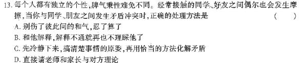 【精品】中原名校2024年高三年级高考备考精英联赛调研卷思想政治