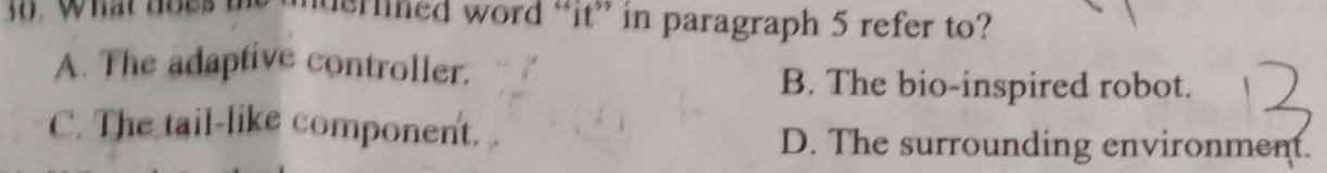 吉林省前郭五中2023~2024学年度上学期第二次月考(242351D) 英语