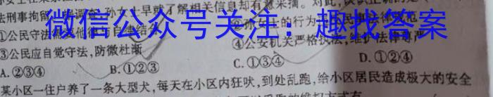 2024年衡水金卷先享题分科综合卷 B答案新教材3政治试卷d答案