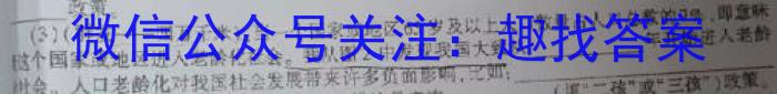 陕西省2024年初中学业水平考试模拟卷（四）D地理试卷答案