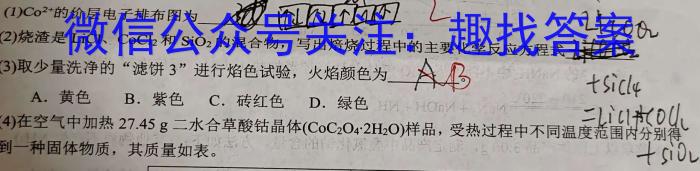 q2024届湖南天壹名校联盟高三11月大联考化学