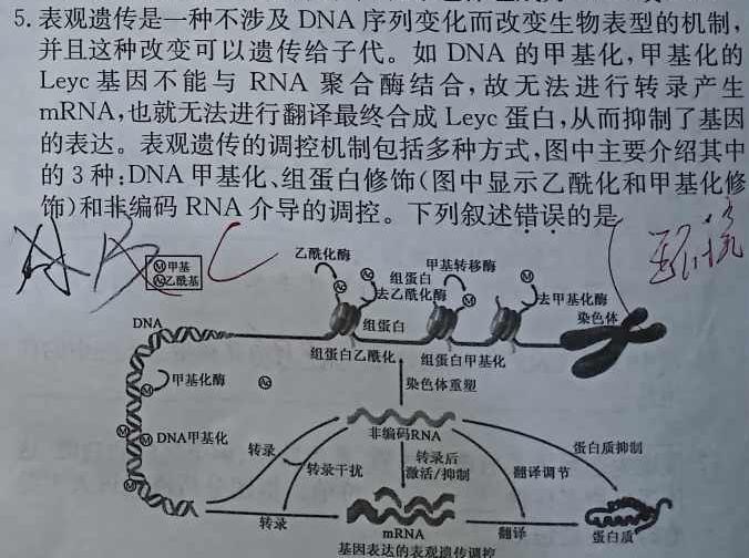 重庆康德2024年普通高等学校招生全国统一考试 高考模拟调研卷(一)生物