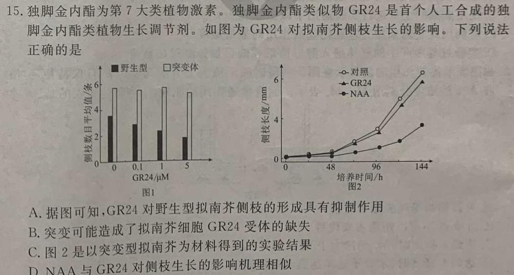 2024届高三12月大联考（新课标卷）生物学部分